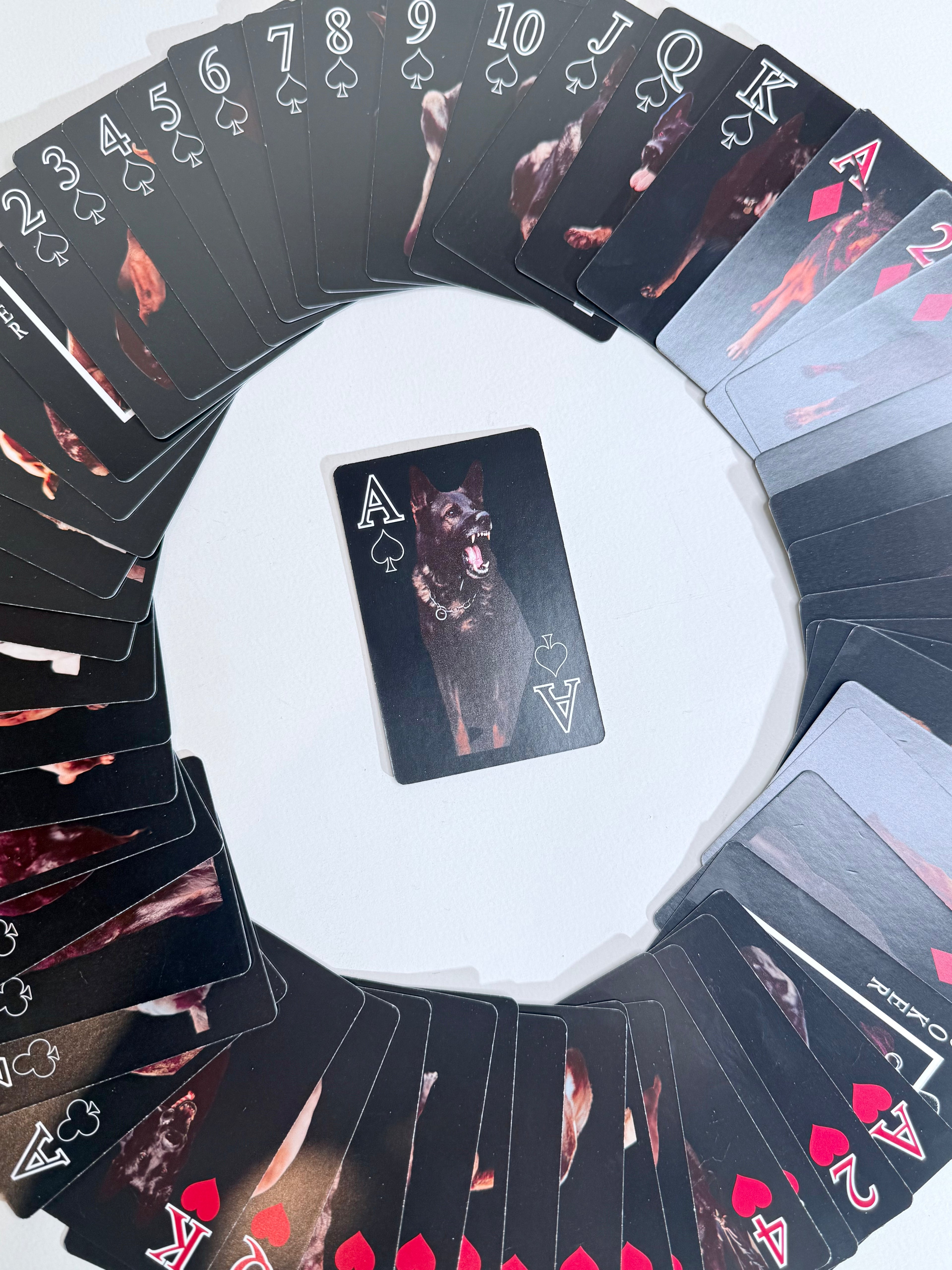 HH Custom K9 Playing Cards