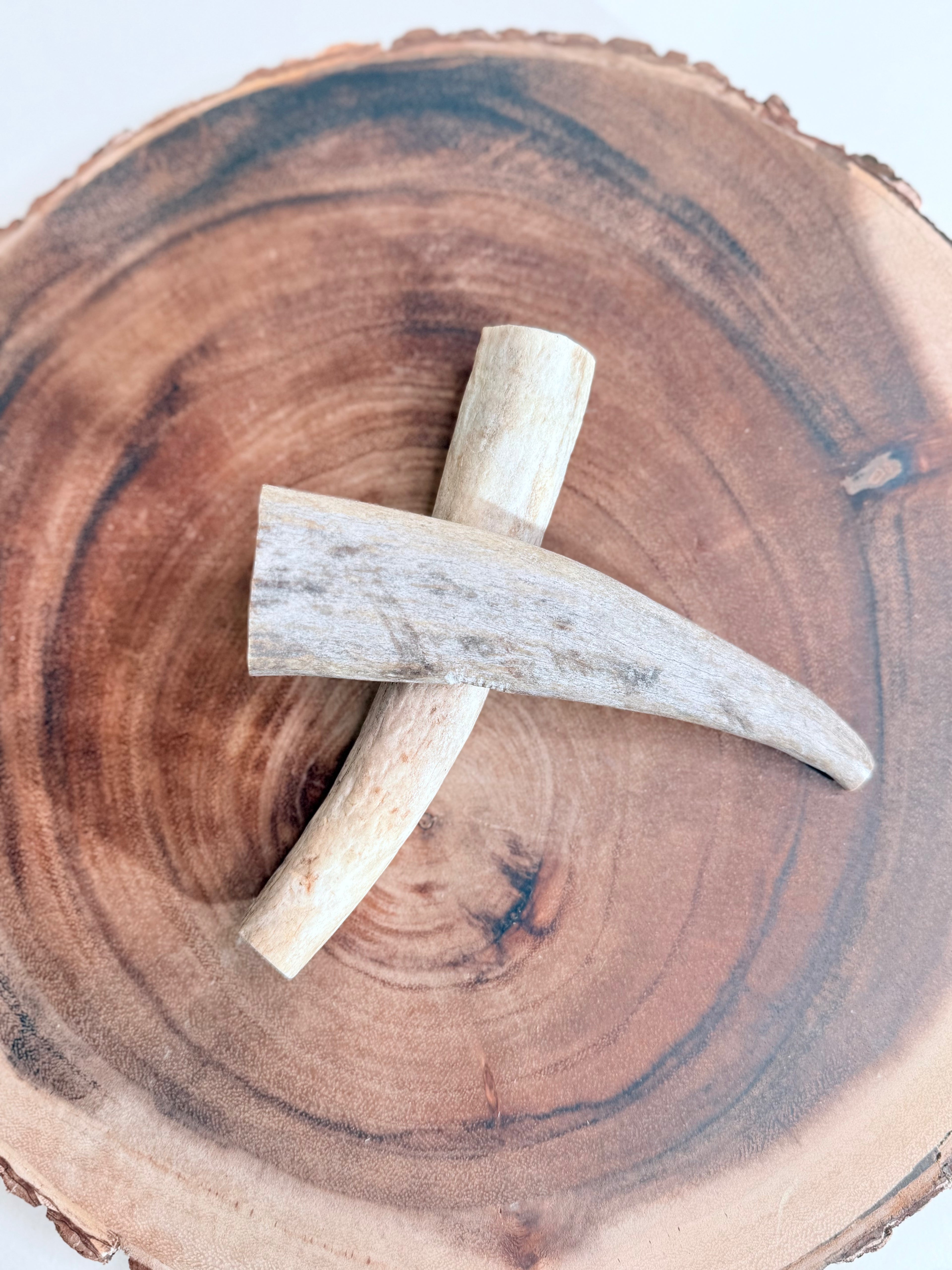 Send a K9 Some Love!